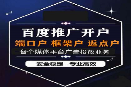 行业领先企业的SEM广告投放策略案例